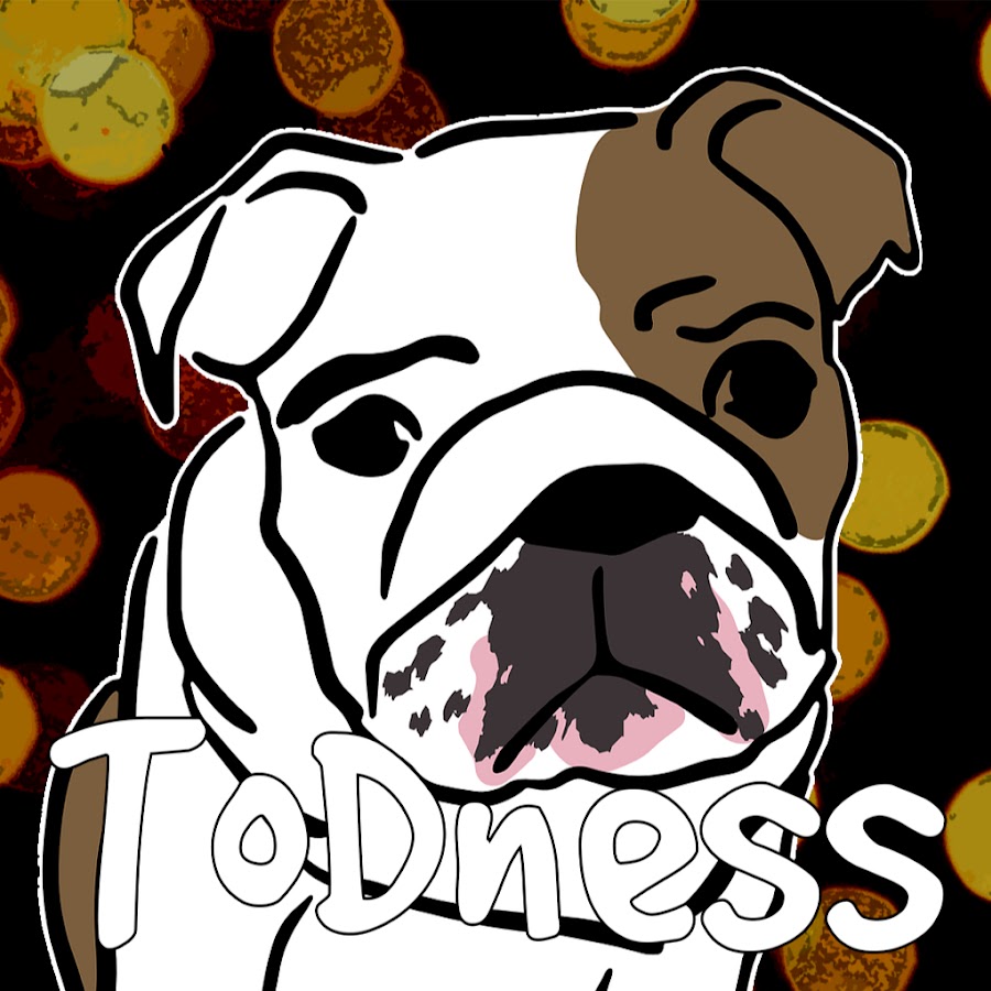 Todness YouTube channel avatar