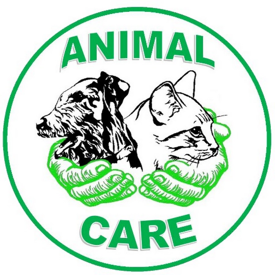 Animalcare ajmerlather YouTube-Kanal-Avatar