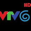 Truc Tiep Bong Da Vtv6 : Trá»±c Tiáº¿p Bong Äa Euro 2020 Link Xem Tructiepbongda Hom Nay / Những trận bóng đá được phát trực tiếp trên kênh vtv6.