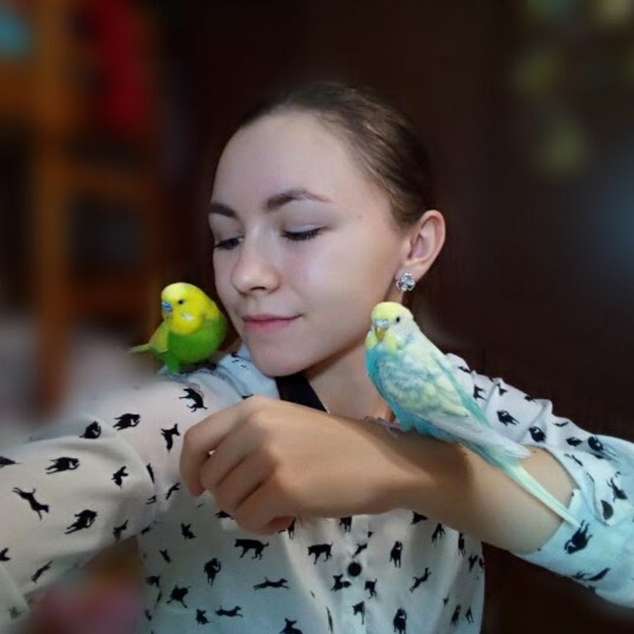 BUDGIES_ life# Avatar channel YouTube 