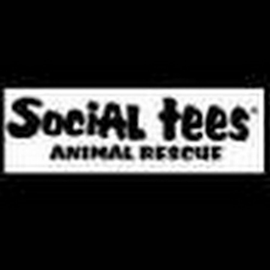 SocialTees رمز قناة اليوتيوب