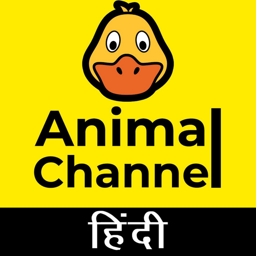Animal Channel Hindi YouTube kanalı avatarı