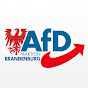 AfD-Fraktion Brandenburg