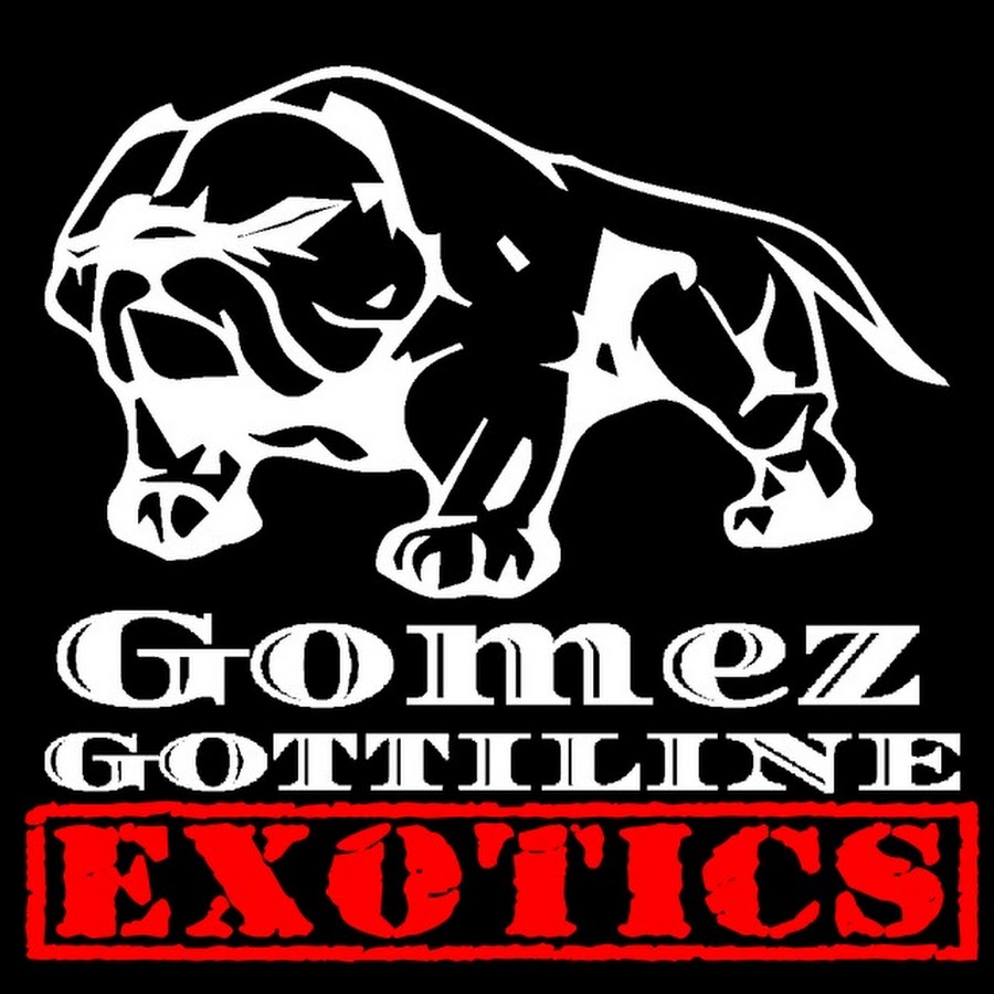 Gomez Gottiline Exotics