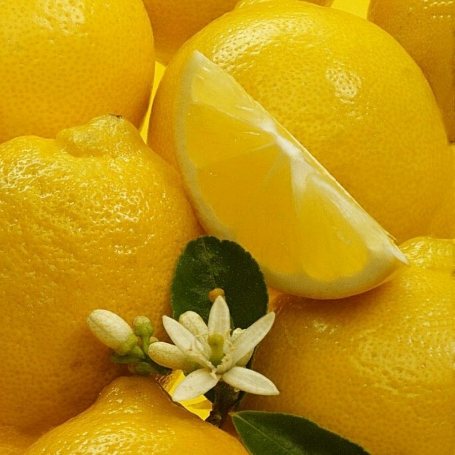 Dasha Lemon.