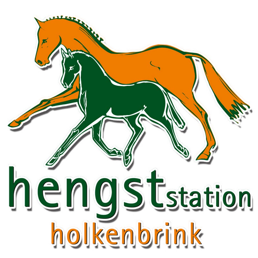 Hengststation Holkenbrink YouTube channel avatar