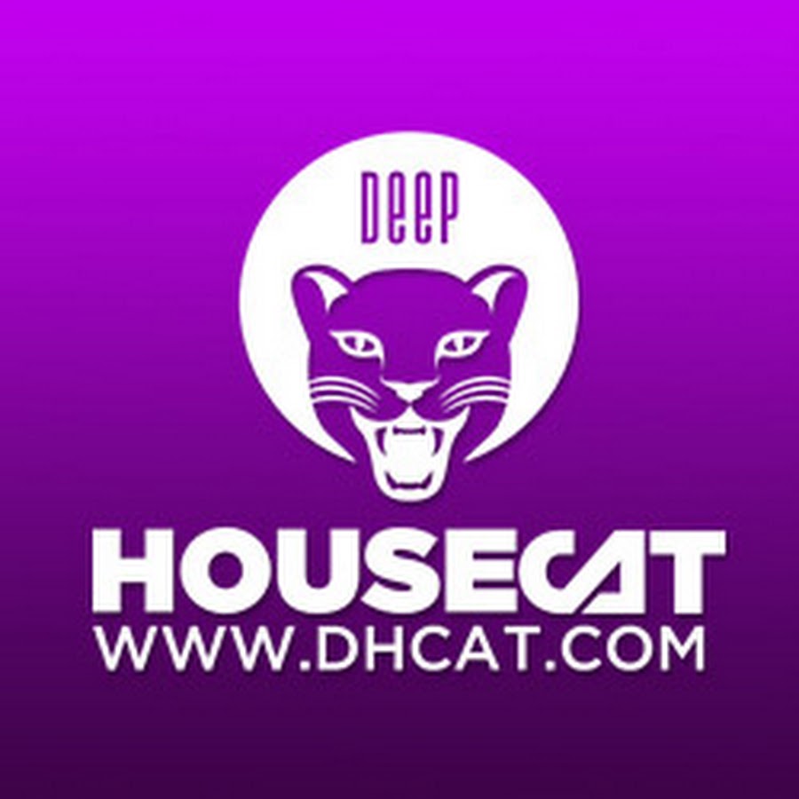 Deep House Cat YouTube channel avatar