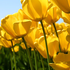 Thumbnail of related channel