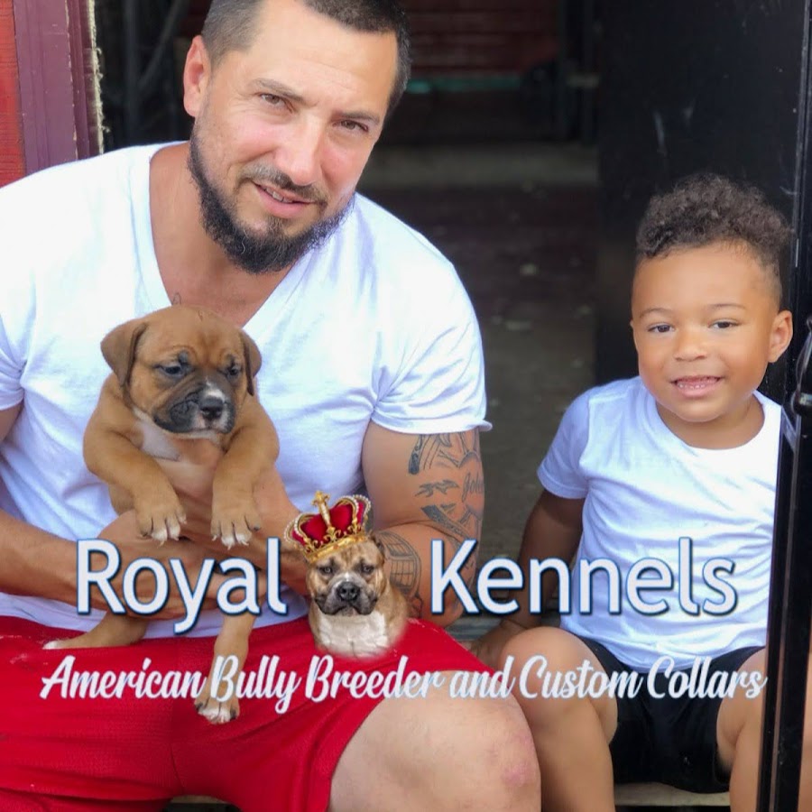 Royal Kennels Avatar canale YouTube 