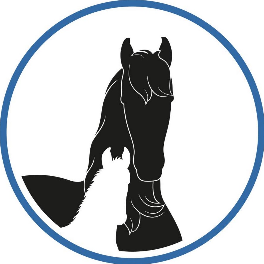 Friesian Horses رمز قناة اليوتيوب