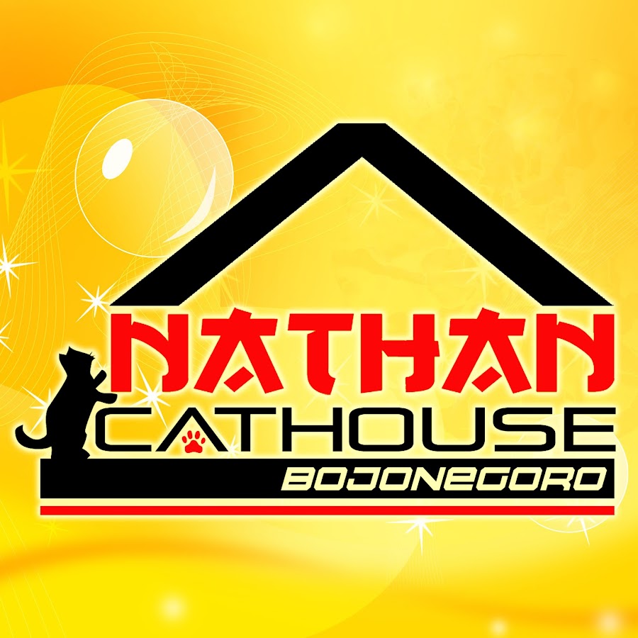 Nathan Cat House Avatar canale YouTube 