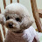 이예찬