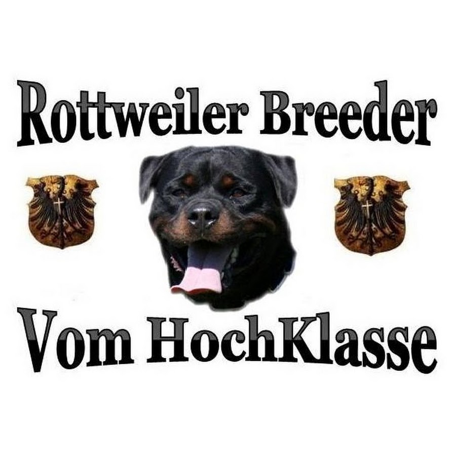 Vom HochKlasse YouTube kanalı avatarı