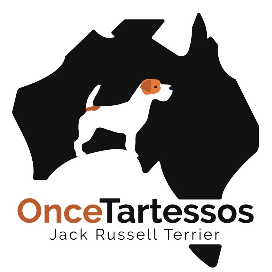 Jack Russell Terrier del Oncetartessos YouTube kanalı avatarı