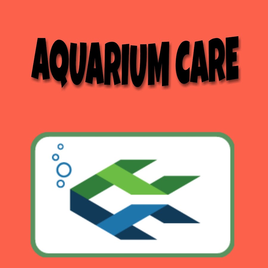 Aquarium care Аватар канала YouTube