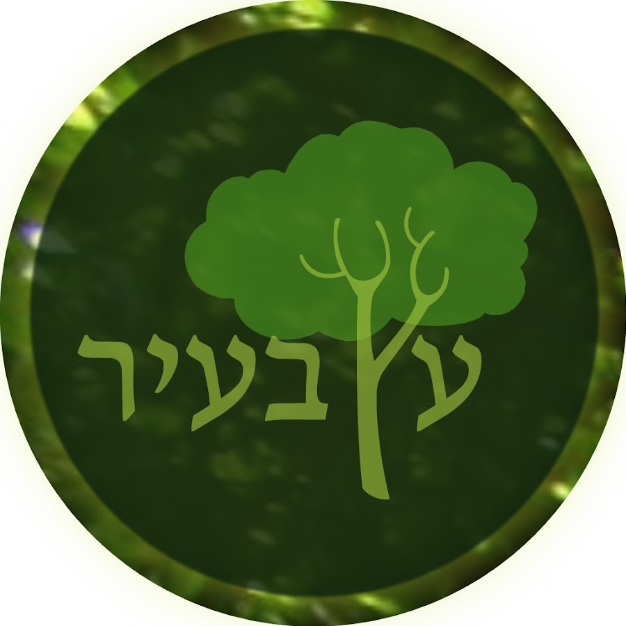 CityTree Tel Aviv YouTube channel avatar