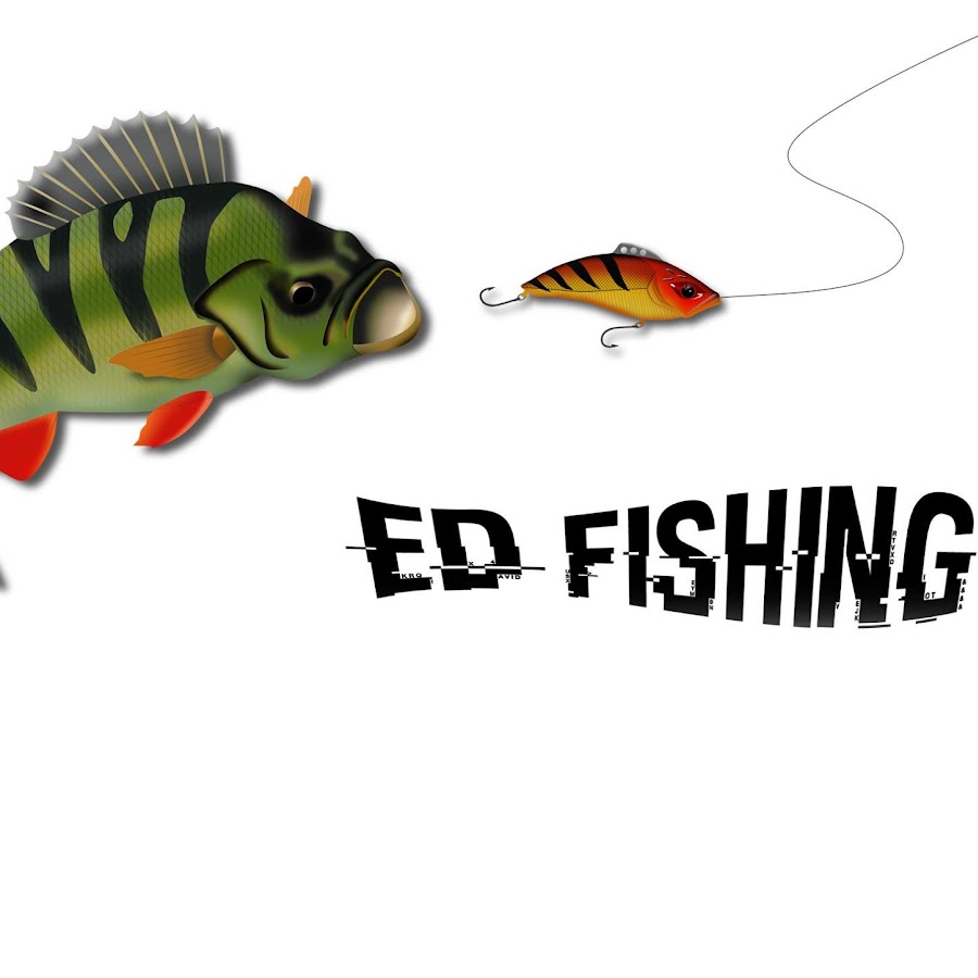 ED FISHING YouTube-Kanal-Avatar