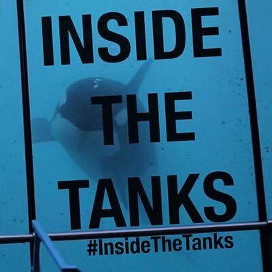 Inside The Tanks