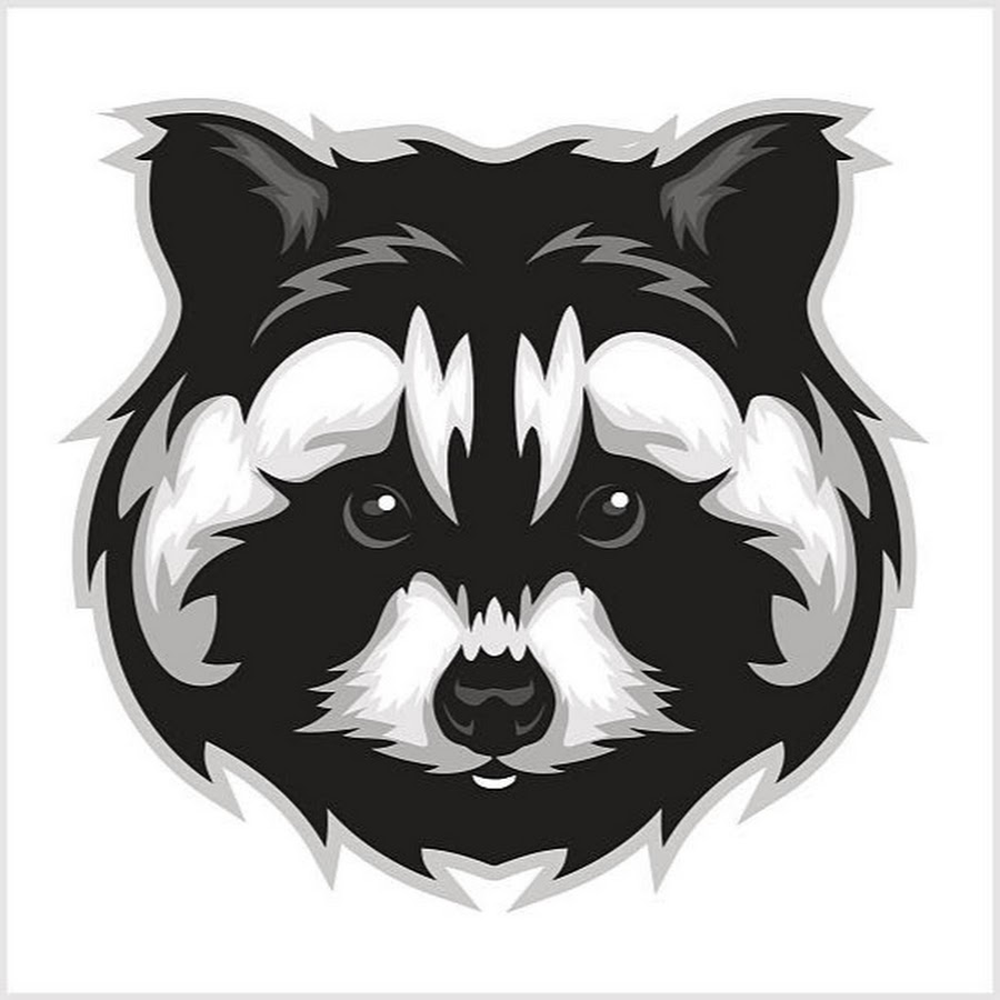 John Raccoon YouTube channel avatar