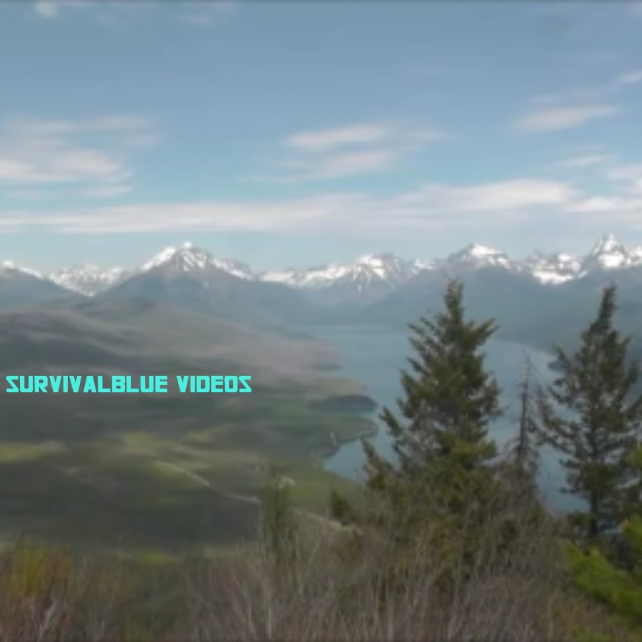 survivalblue Avatar canale YouTube 