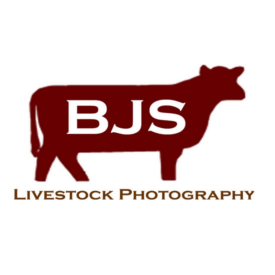 Bjs Livestock Photography Youtube
