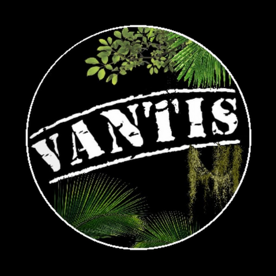 Vantis Terra Avatar canale YouTube 
