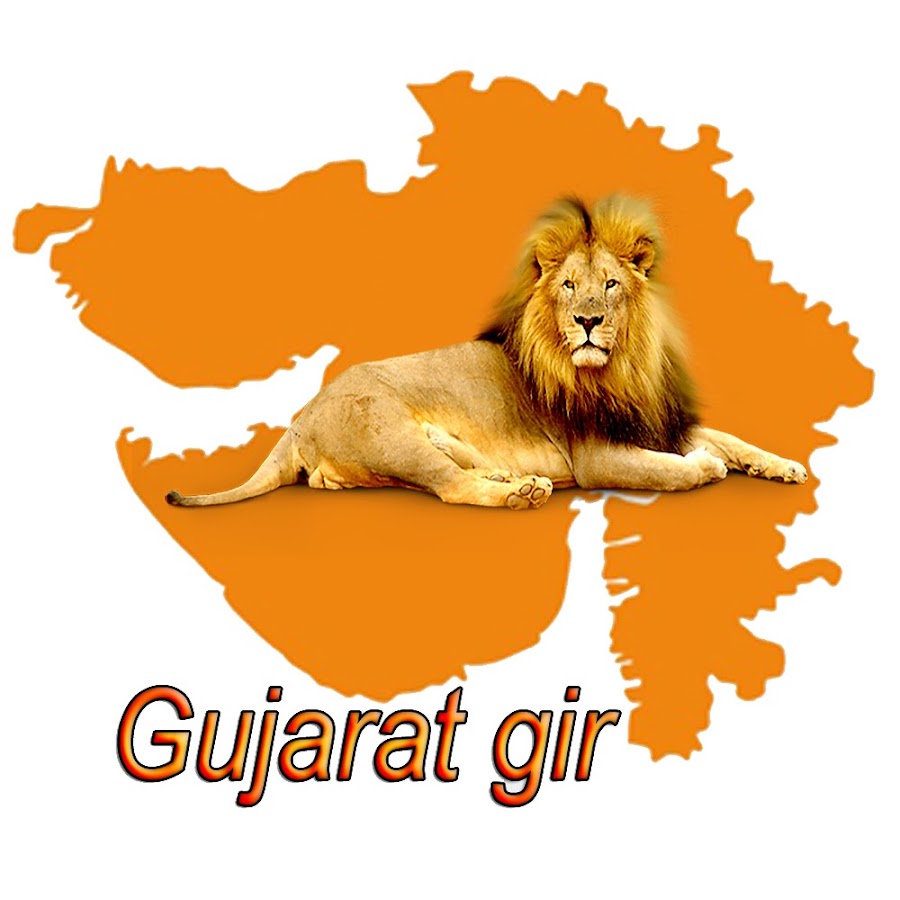 Gujarat gir YouTube channel avatar