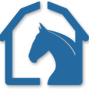 Stable Horse Training Youtube