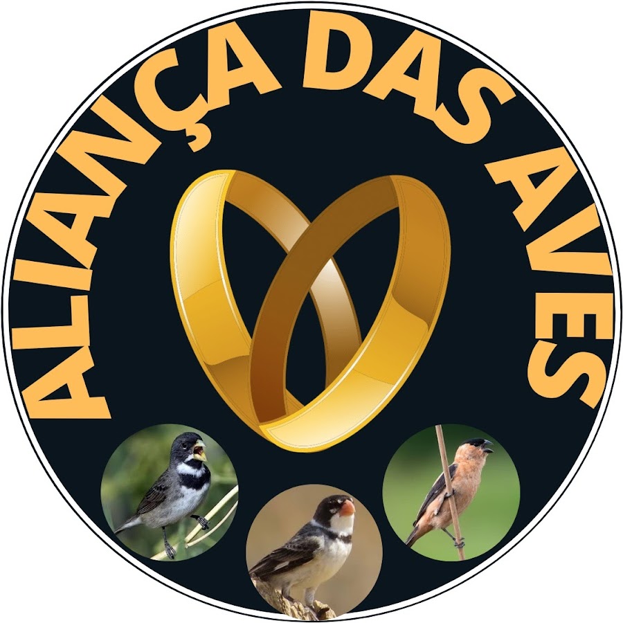 AlianÃ§a das Aves رمز قناة اليوتيوب