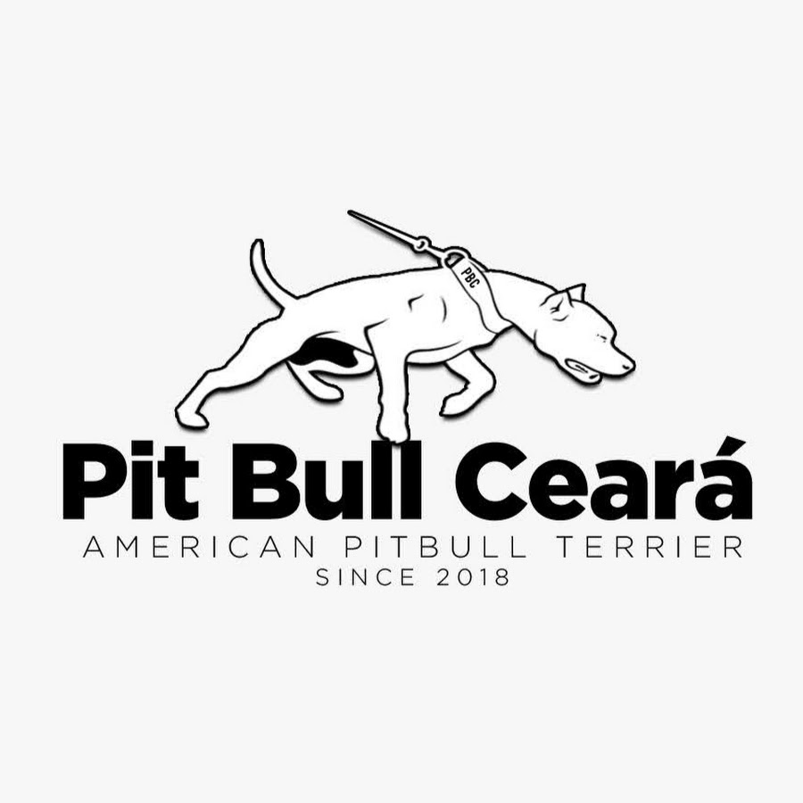 Pit Bull CearÃ¡ Avatar de canal de YouTube