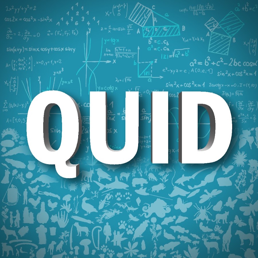 QUID VidÃ©os YouTube kanalı avatarı