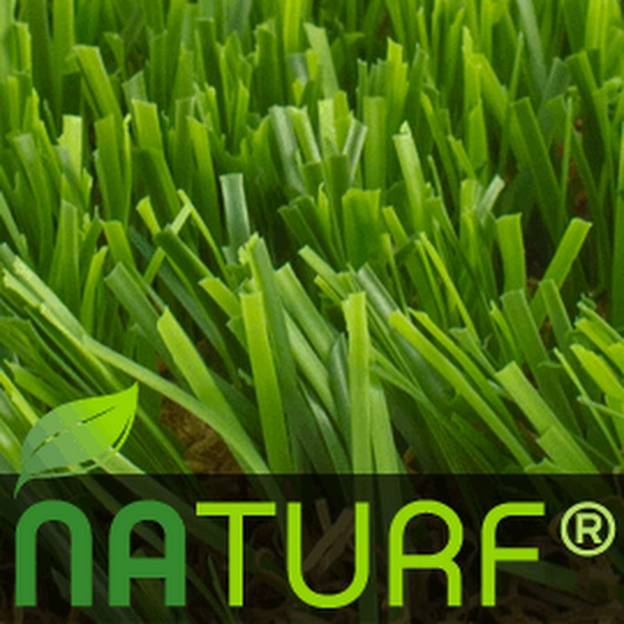 Naturf YouTube channel avatar