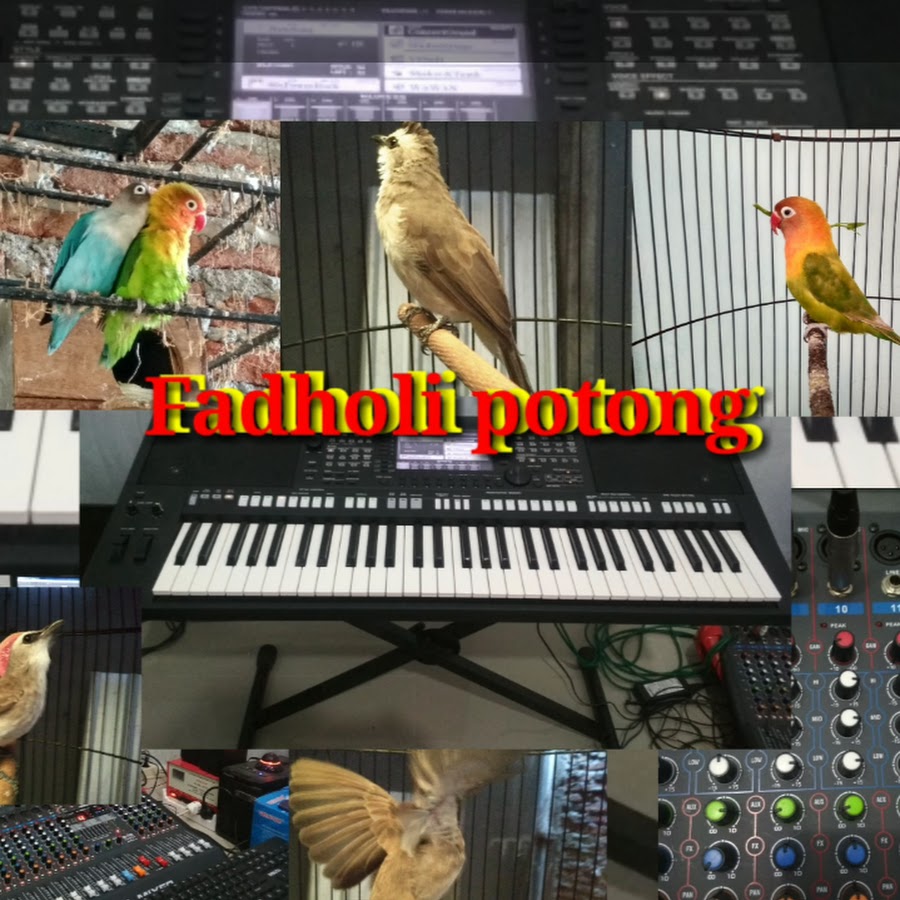 Fadholi Potong YouTube channel avatar