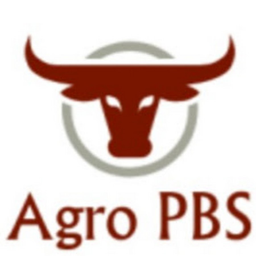 Agro e Haras PBS GenÃ©tica de Brahman e Mangalarga YouTube channel avatar