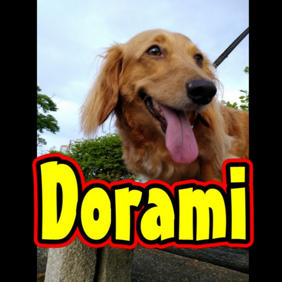 dorami0024 YouTube channel avatar