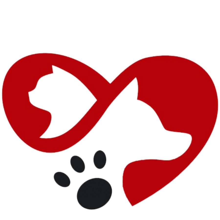 Pets Lovers YouTube channel avatar