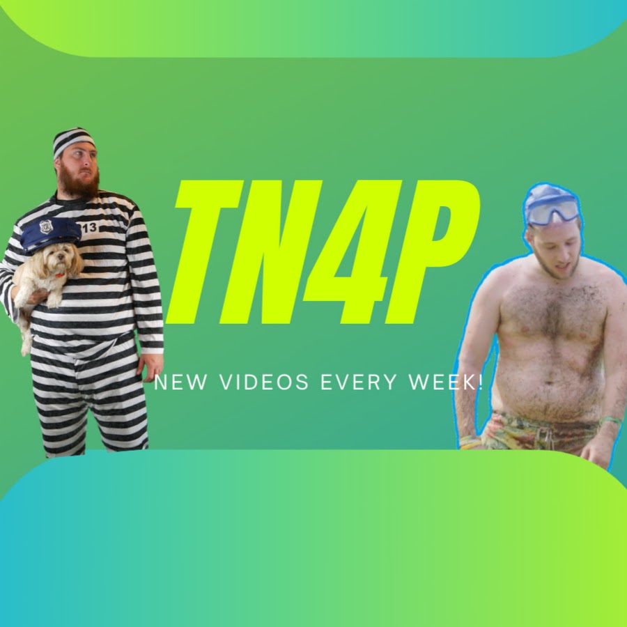 TN4P YouTube channel avatar