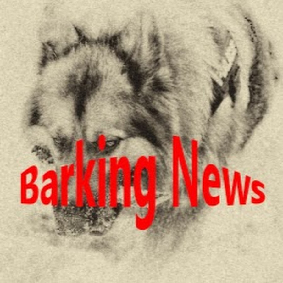 Barking News YouTube channel avatar