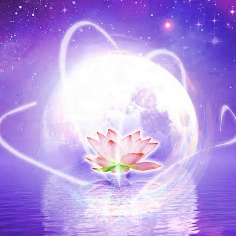 心靈語坊 - 網紅的藏寶箱 