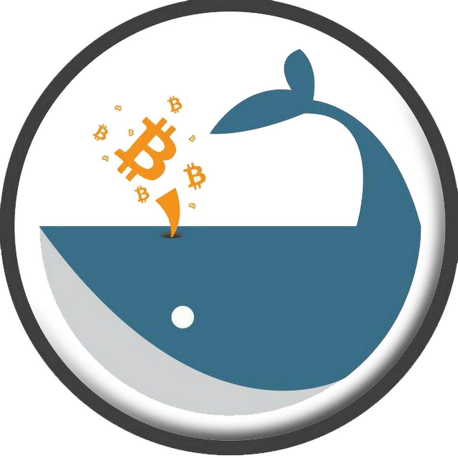 WhalePool YouTube channel avatar