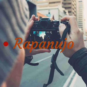 Rapanujo Nl Youtube Stats Subscriber Count Views Upload Schedule