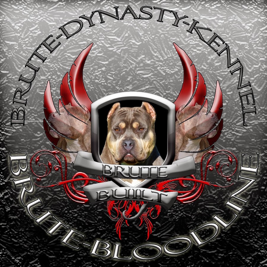 BRUTE DYNASTY KENNEL Avatar canale YouTube 