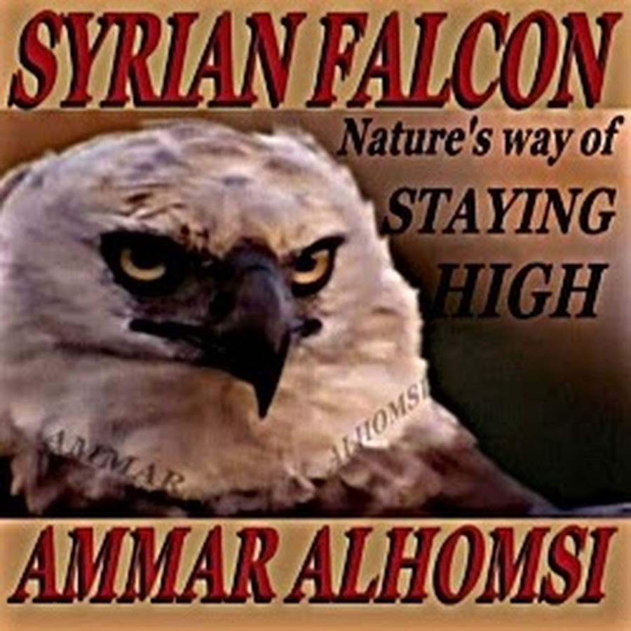 Ammar alhomsi YouTube channel avatar