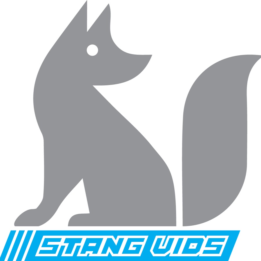 Stang Vids YouTube channel avatar