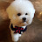슝승이
