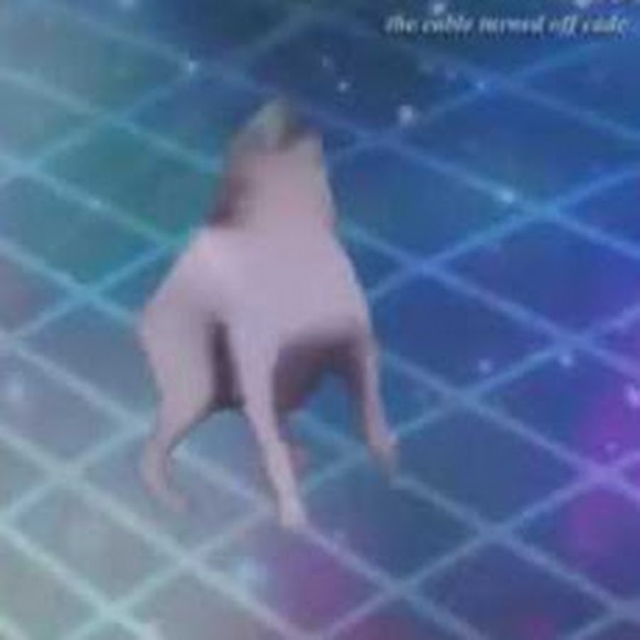 собака пляшет. Dance you re dead. Dance till dead. Dance you re dead. Dance till you're dead обложка.