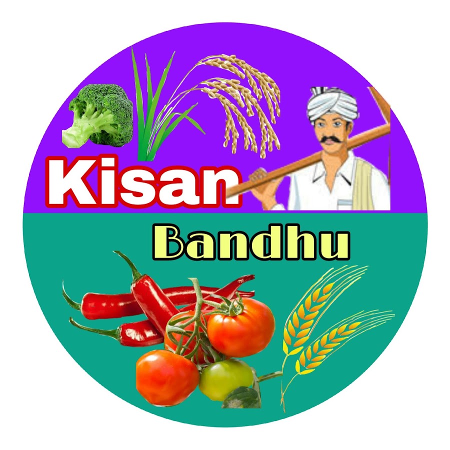 Kisan bandhu ইউটিউব চ্যানেল অ্যাভাটার