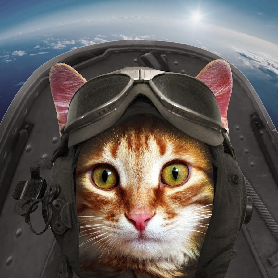 РљРѕС‚ РІ С€Р»РµРјРµ