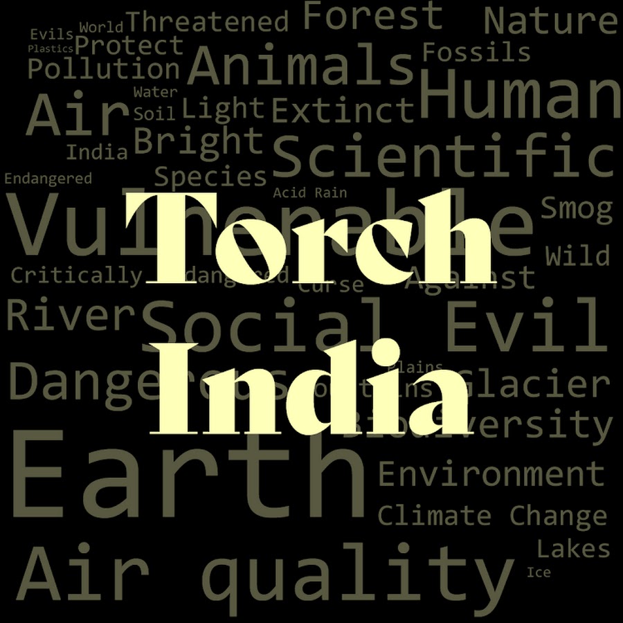 Torch India