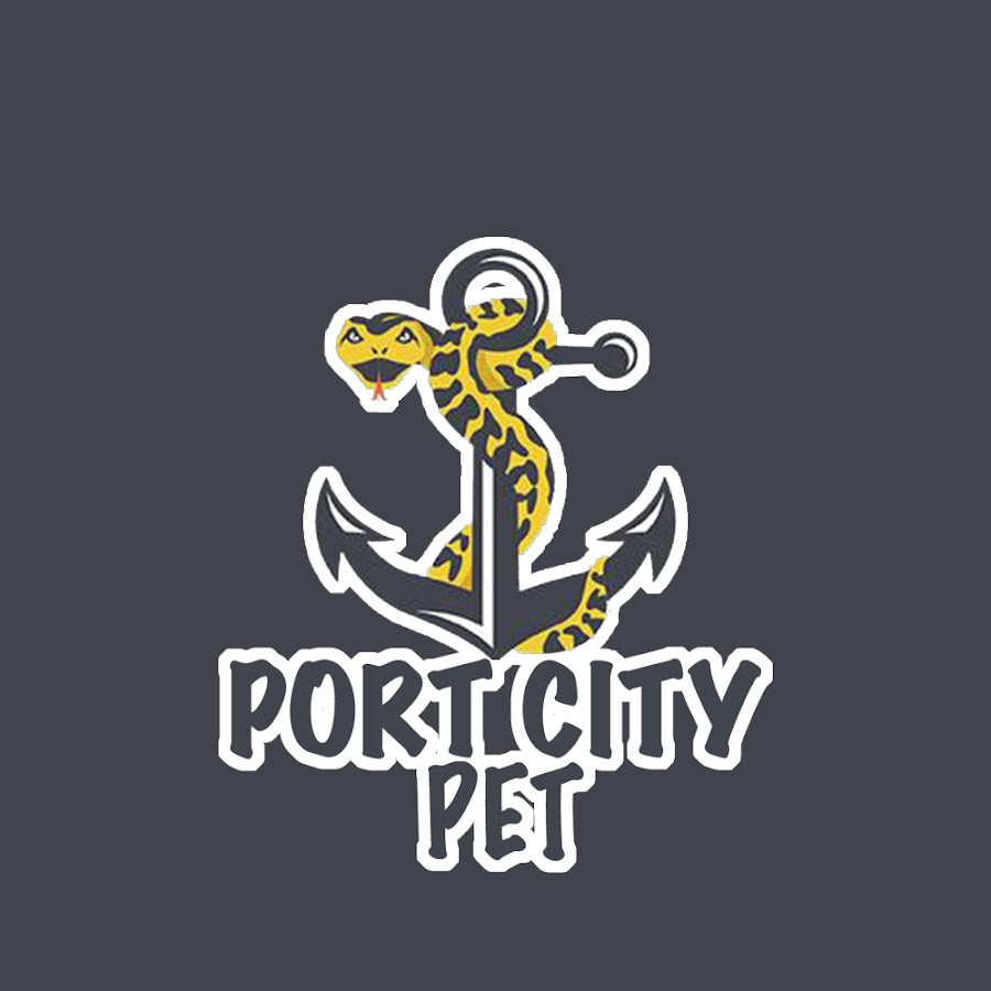 Port City Pythons ইউটিউব চ্যানেল অ্যাভাটার
